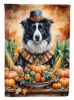 Border Collie Thanksgiving House Flag Large Porch Sleeve Pole Decorative Outside Yard Banner Artwork Wall Hanging, Polyester, House Size, Multicolor