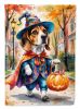 Beagle Halloween Trick or Treat House Flag Large Porch Sleeve Pole Decorative Outside Yard Banner Artwork Wall Hanging, Polyester, House Size