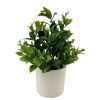 (4 pack) 10" Artificial Tea Leaf Plant in Vanilla Planter, Pot Not Included.