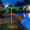 5-Foot LED Pre-Lit Palm Tree Decor | Lighted Tropical Artificial Tree for Indoor & Outdoor Use