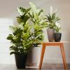 4 Pack 14 in. Beige Resin Self-Watering Planter
