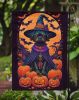 Affenpinscher Witchy Halloween Garden Flag Mailbox Flag Decorative Yard Flag Banner Outside Patio Artwork Yard Flower Beds, Garden Size, Multicolor