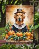 Golden Retriever Thanksgiving Garden Flag Mailbox Decorative Yard Banner Outside Patio Artwork for Flower Beds, Garden Size, Multicolor