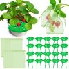 8Pcs Strawberry Planting Kit with 20Pcs Insect-proof Mesh Bag Reusable Strawberry Growing Racks Frame Protecting Strawberry Plants