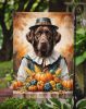 Chocolate Labrador Retriever Thanksgiving Garden Flag Mailbox Decorative Yard Banner Outside Patio Artwork for Flower Beds, Garden Size, Multicolor