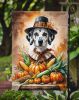 Dalmatian Thanksgiving Garden Flag Mailbox Decorative Yard Banner Outside Patio Artwork for Flower Beds, Garden Size, Multicolor