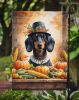 Dachshund Thanksgiving Garden Flag Mailbox Decorative Yard Banner Outside Patio Artwork for Flower Beds, Garden Size, Multicolor