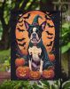 Boston Terrier Witchy Halloween Garden Flag Mailbox Flag Decorative Yard Flag Banner Outside Patio Artwork Yard Flower Beds, Garden Size, Multicolor