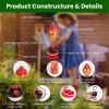 Glass Hummingbird Feeder 33OZ Hand Blown Hummingbird Feeder with 5 Flower Feeding Port Perch Ant Moat Hanging Hook S Hook Hemp Rope Cleaning Brush for
