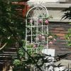 4 Pack Metal Garden Trellis 71" x 19.7" Rustproof Trellis for Climbing Plants Outdoor Flower Support